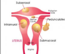 �ӹ��������в�ѧ