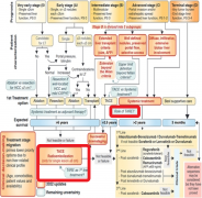 TRACE �о��� TARE VS TACE